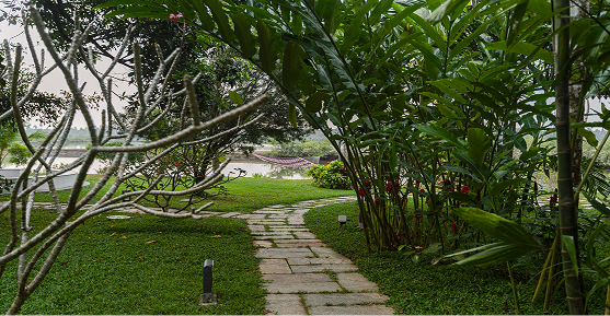 Garden Areas