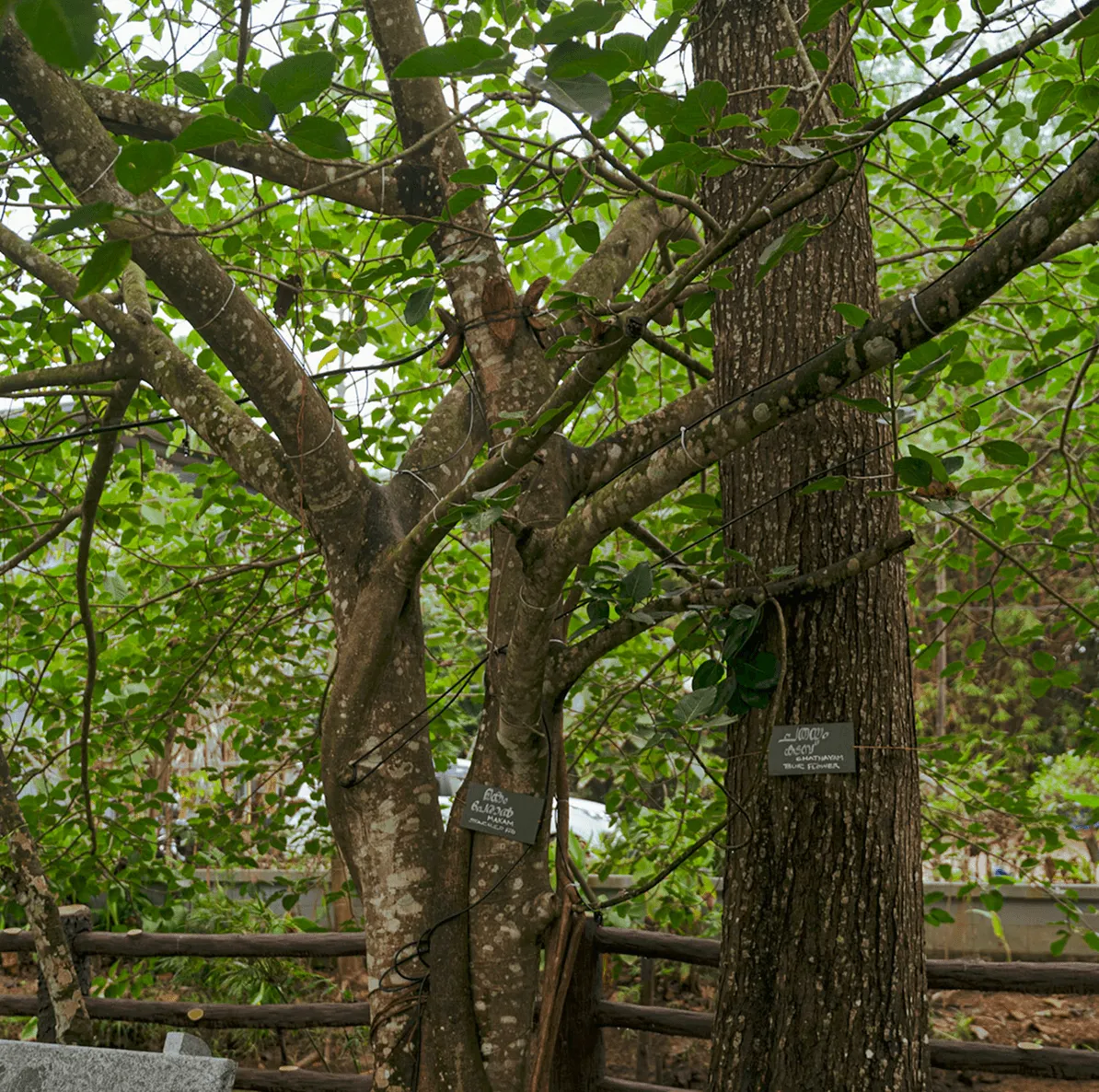 Giby Farm surroundings