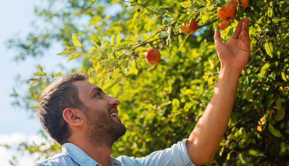 A man enjoying the beauty of Giby Farm