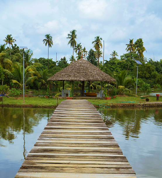 Scenic Waterfront Surroundings